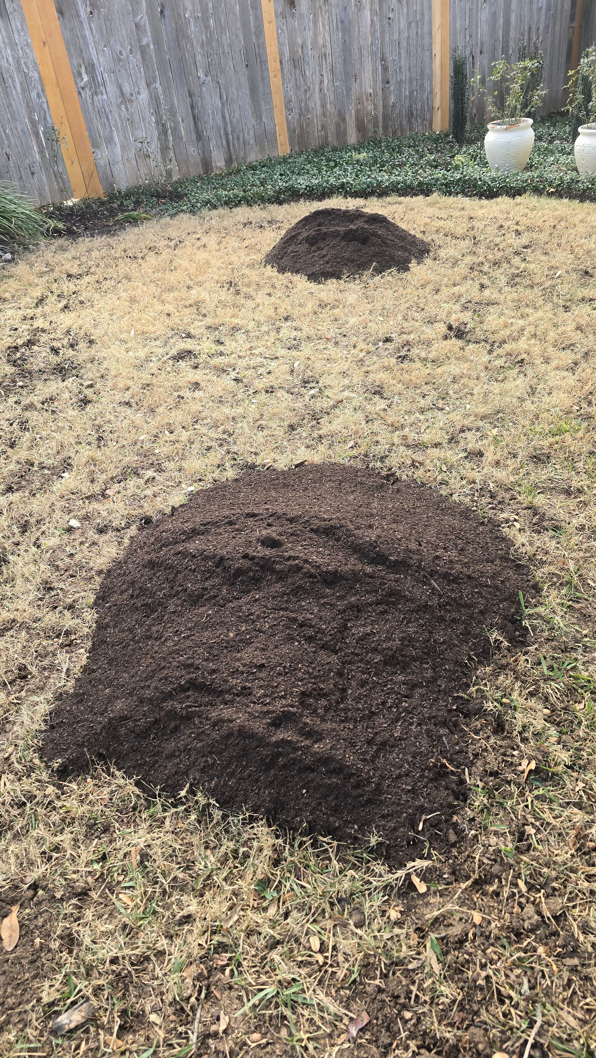 Gallery photos for Elevating Lawns with Organic Care: Image #9