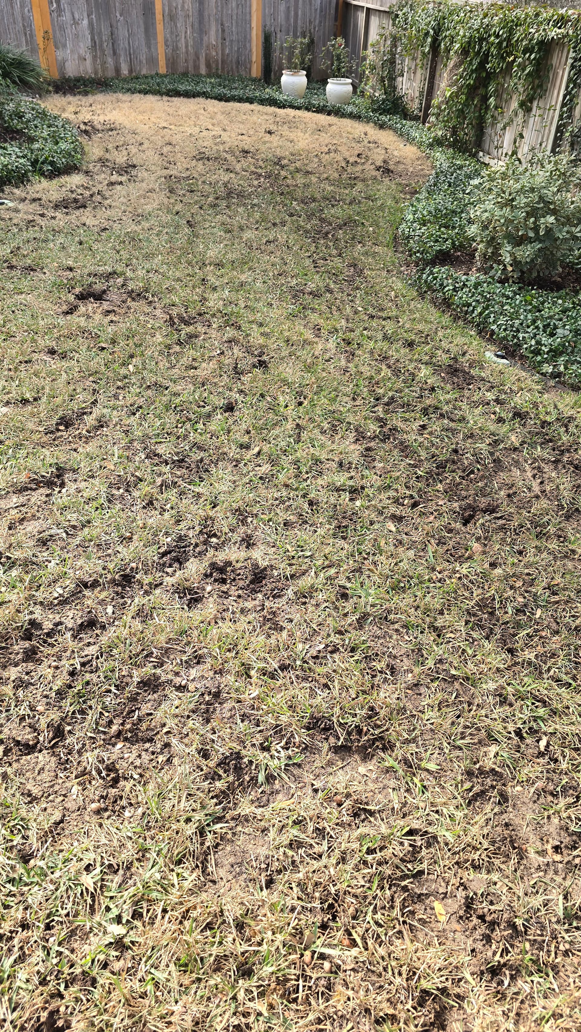Breathing Life into Lawns in Stone Oak