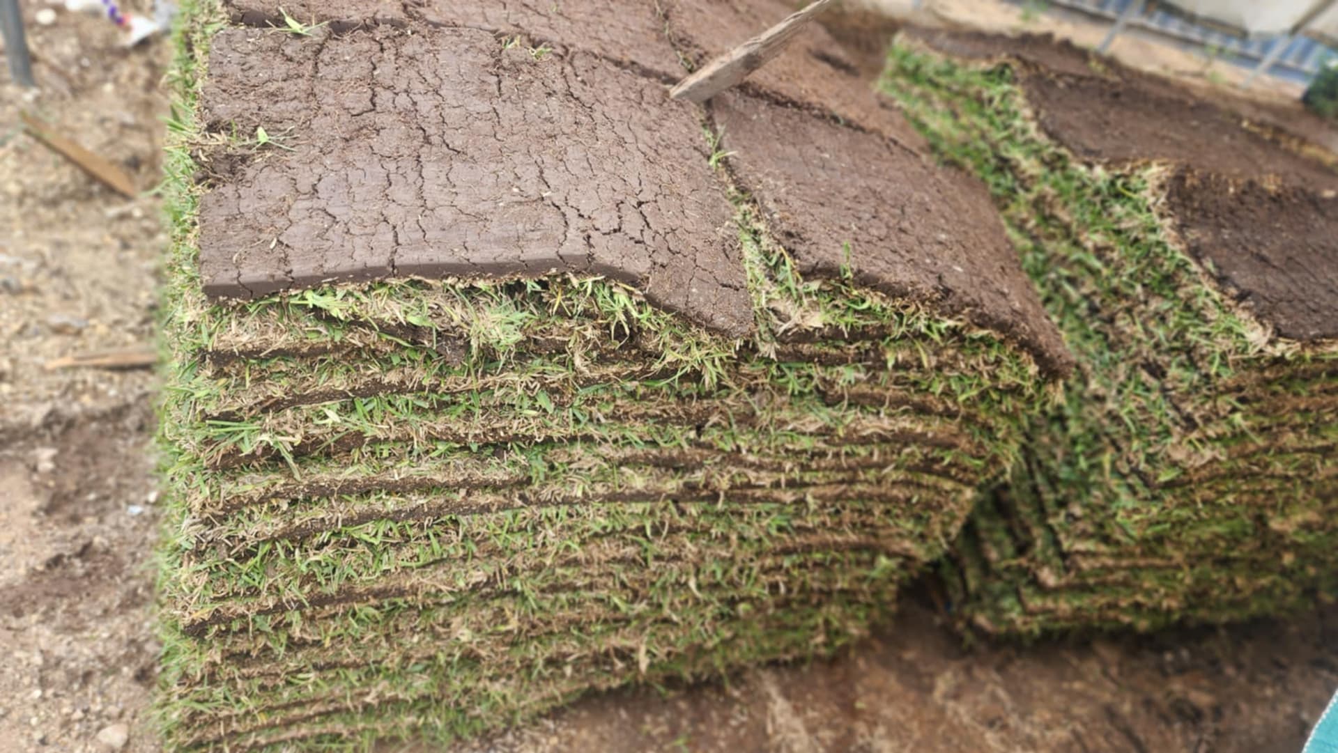 Gallery photos for Lush Lawn Overhaul with Sod Installation: Image #2