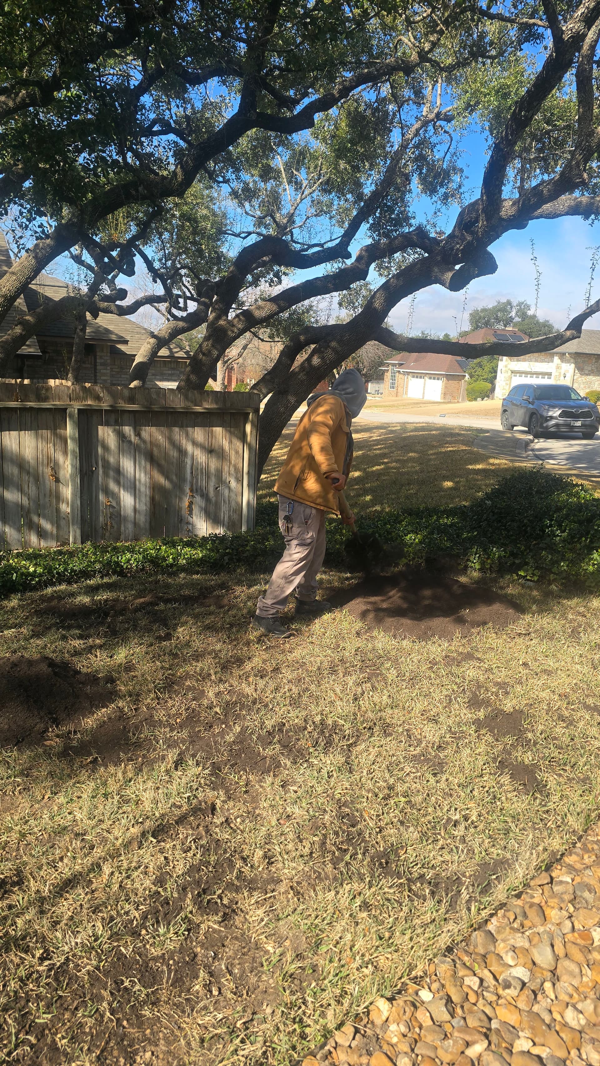 Gallery photos for Elevating Lawns with Organic Care: Image #6