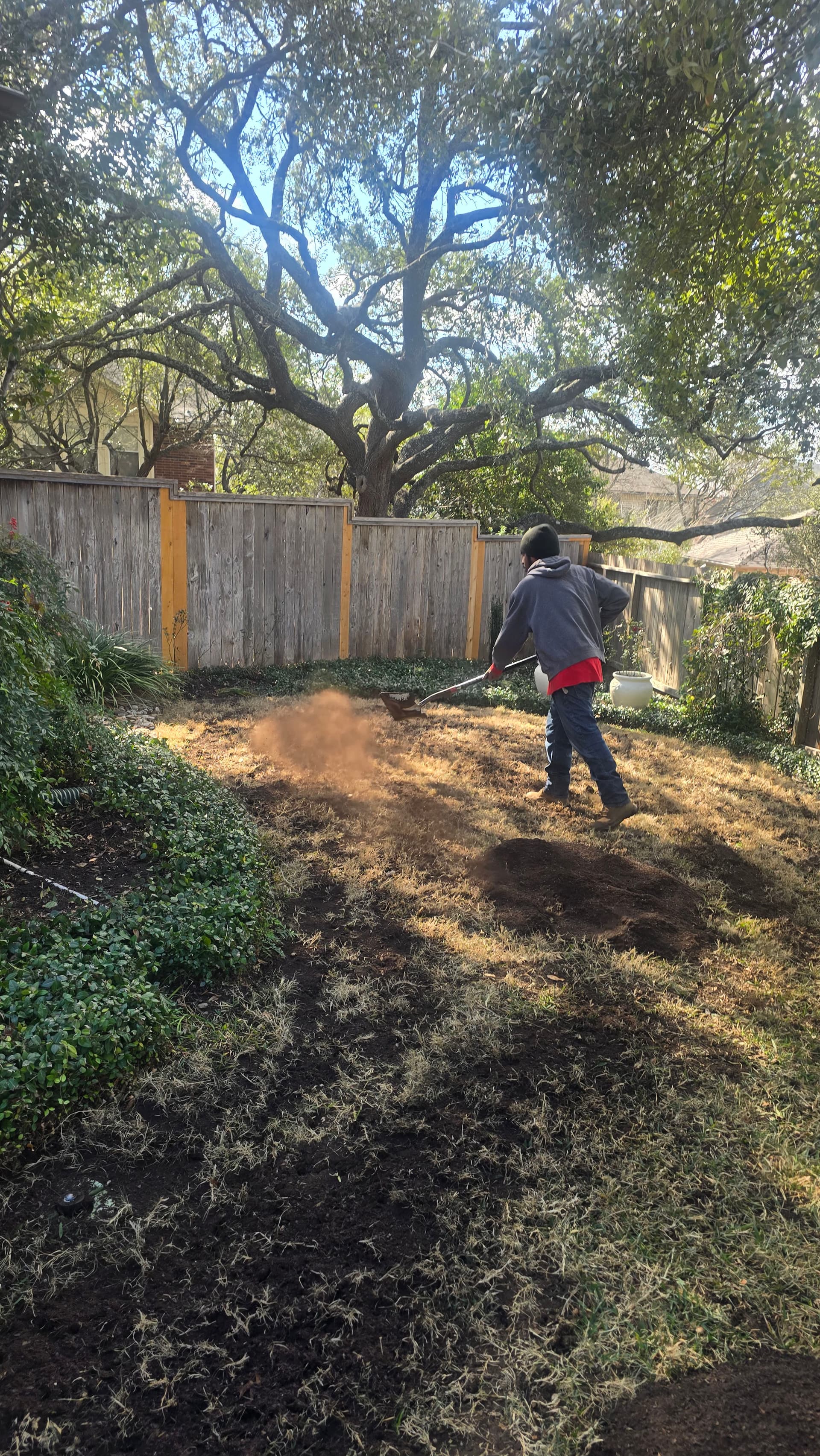 Gallery photos for Elevating Lawns with Organic Care: Image #8