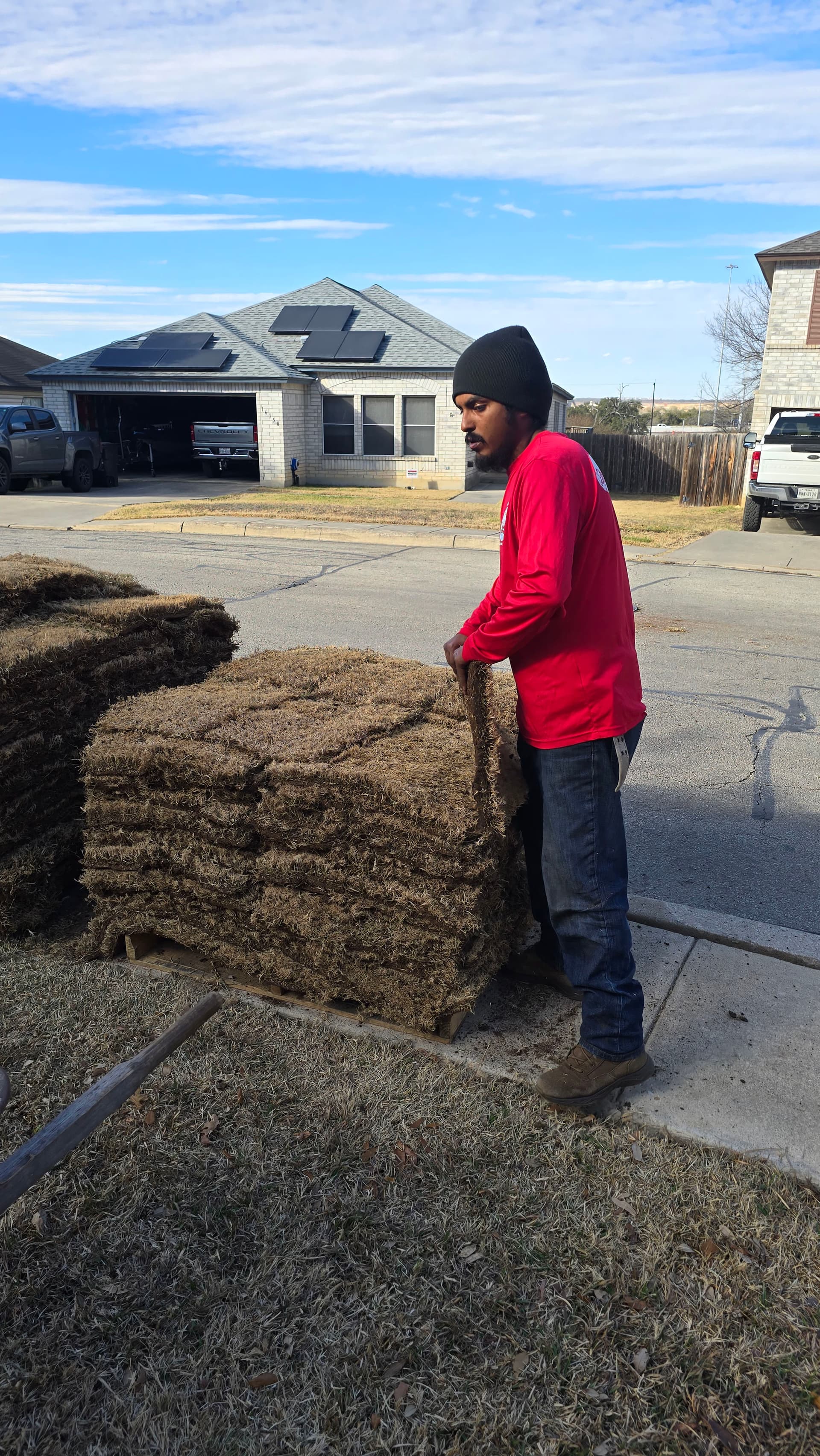 Gallery photos for Lush Sod Installation for a Picture-Perfect Yard: Image #6