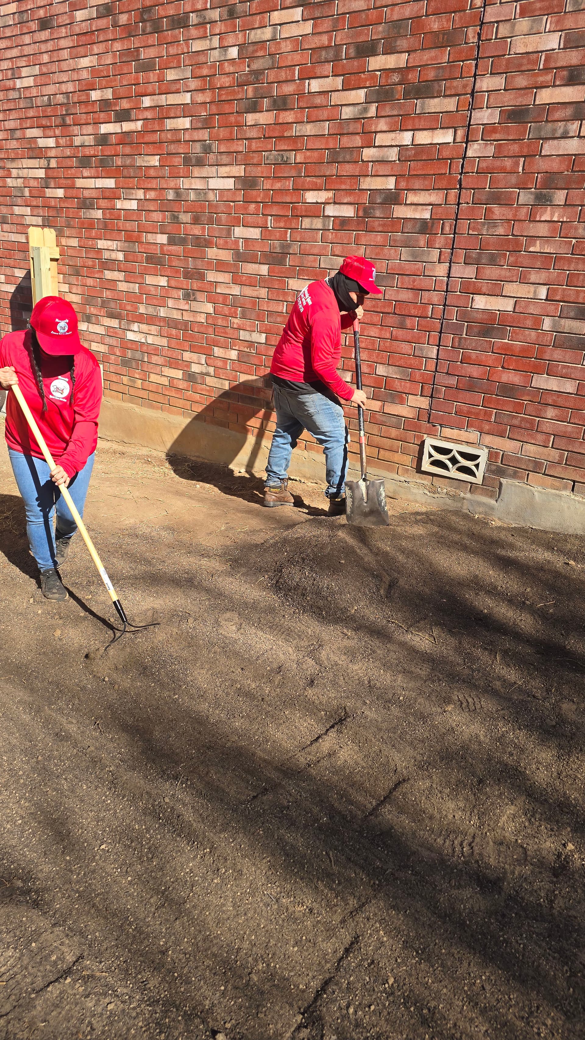 Gallery photos for Boosting Lawn Vitality with Quality Topsoil: Image #7