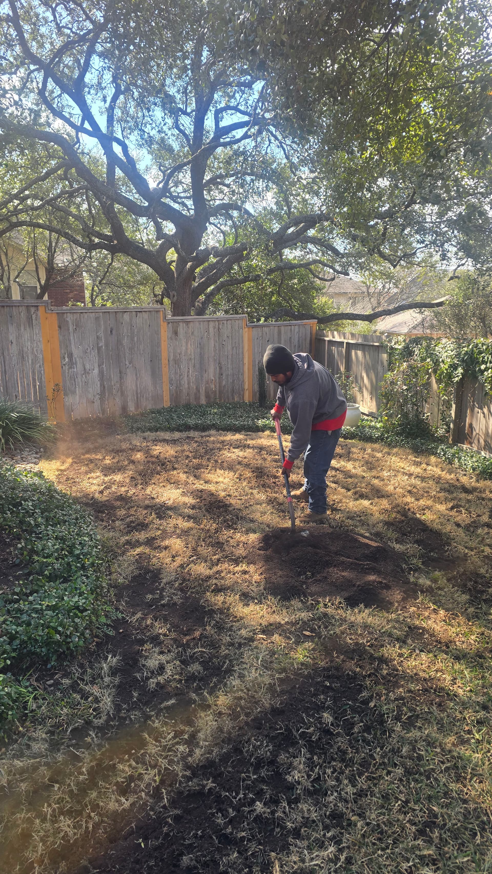 Gallery photos for Elevating Lawns with Organic Care: Image #7