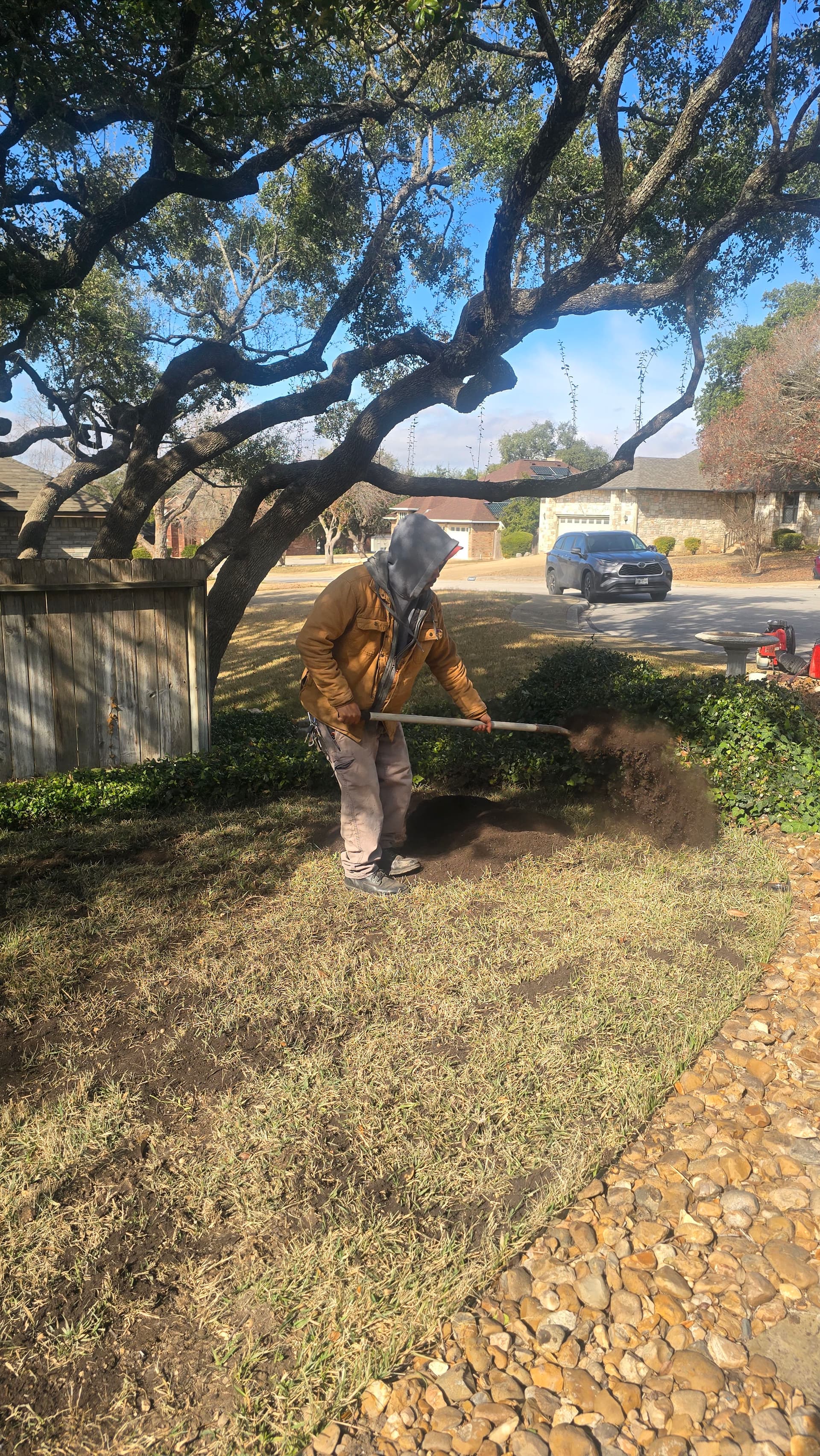 Gallery photos for Elevating Lawns with Organic Care: Image #4