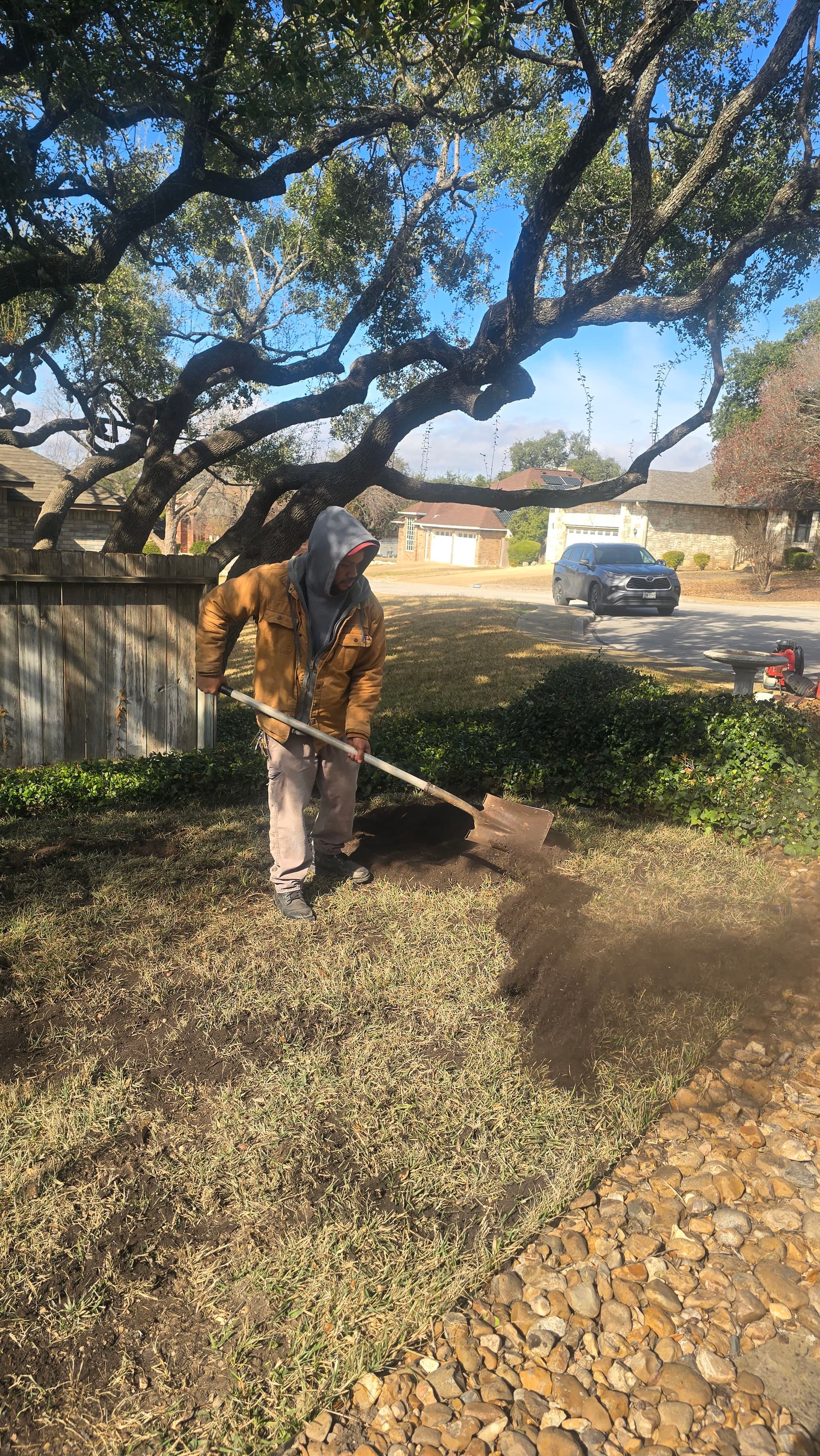 Gallery photos for Elevating Lawns with Organic Care: Image #5