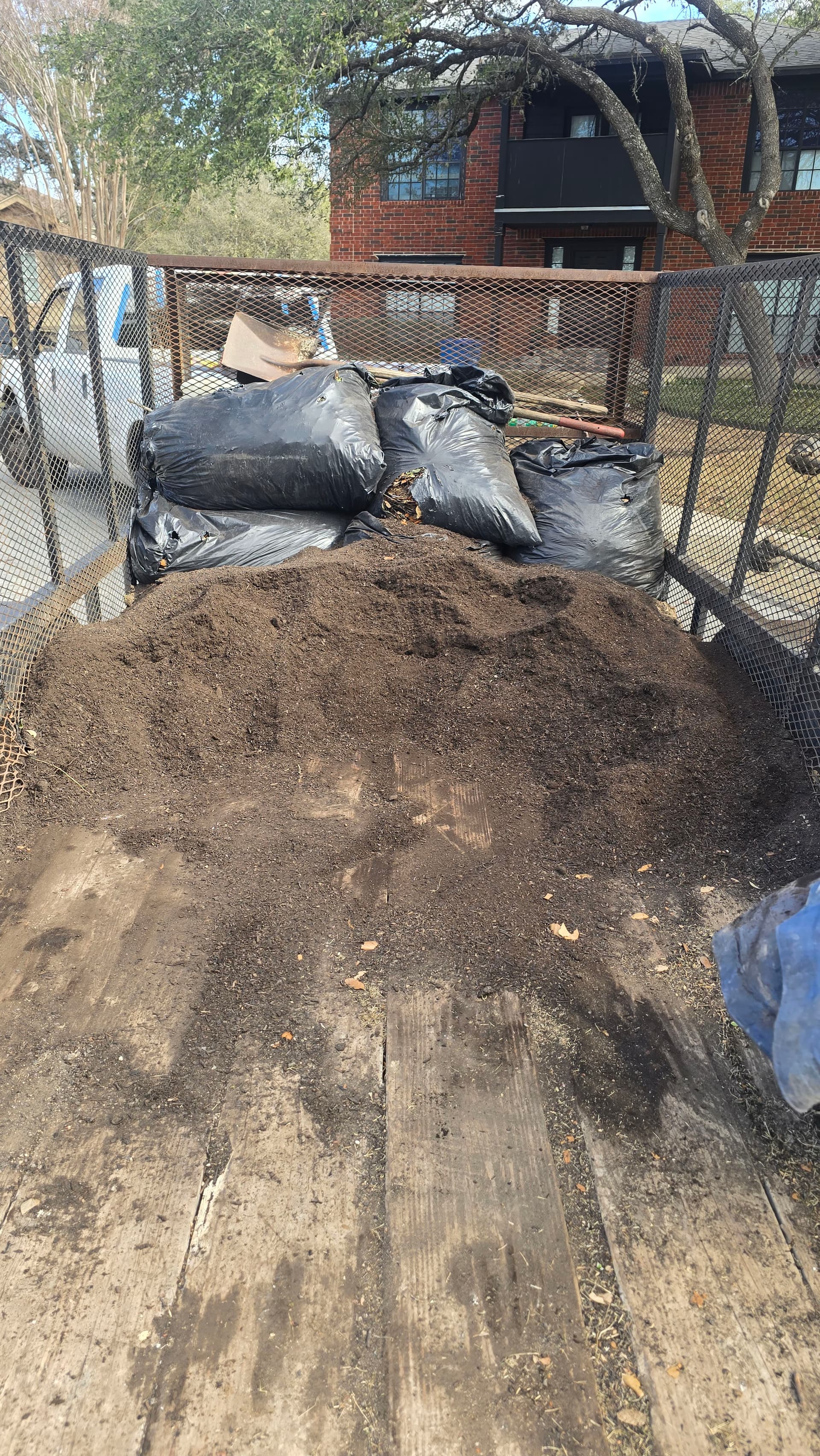 Elevating Lawns with Organic Care