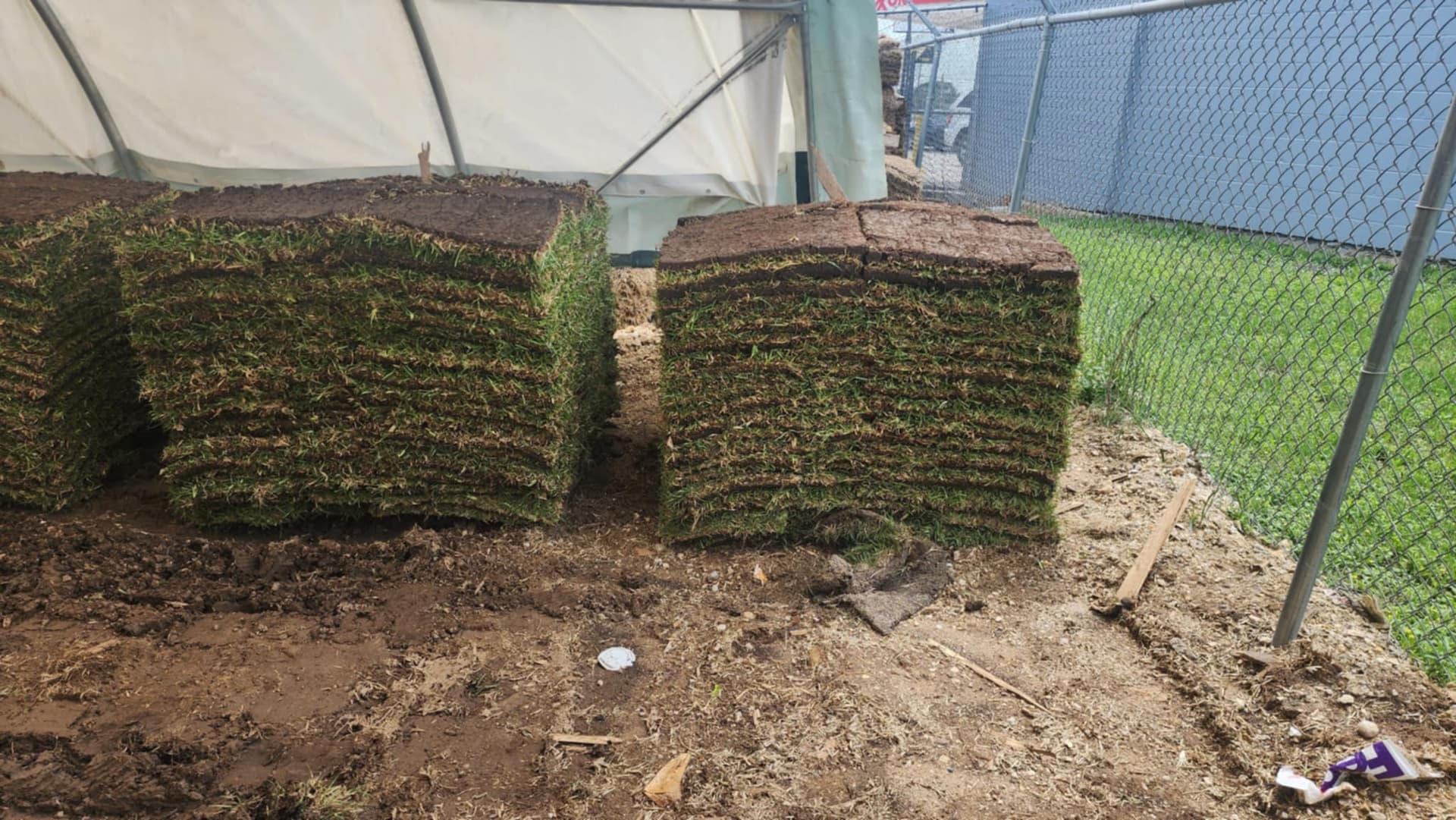 Gallery photos for Lush Lawn Overhaul with Sod Installation: Image #1