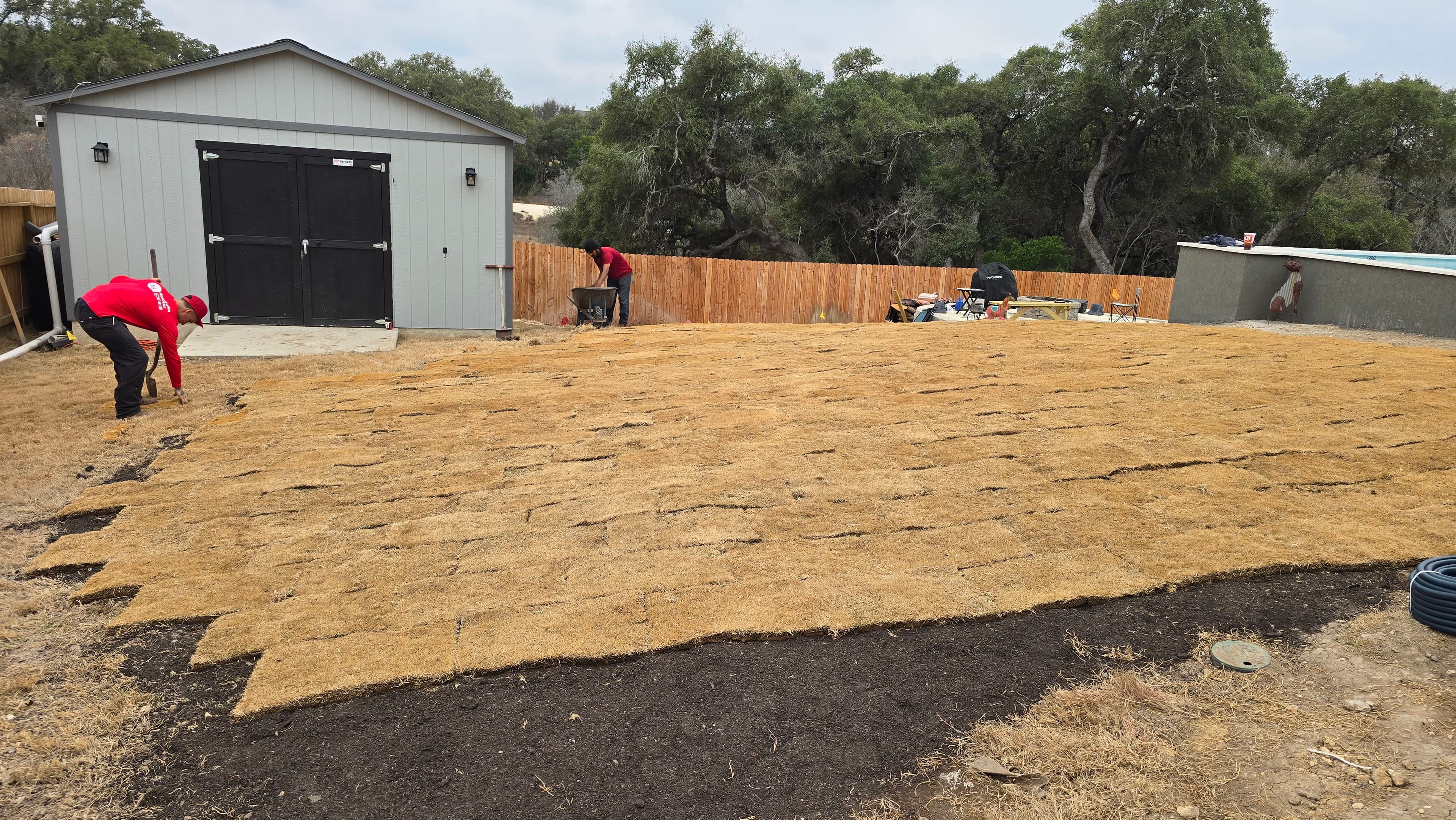 Project Backyard Sod Installation Around Pool Area image