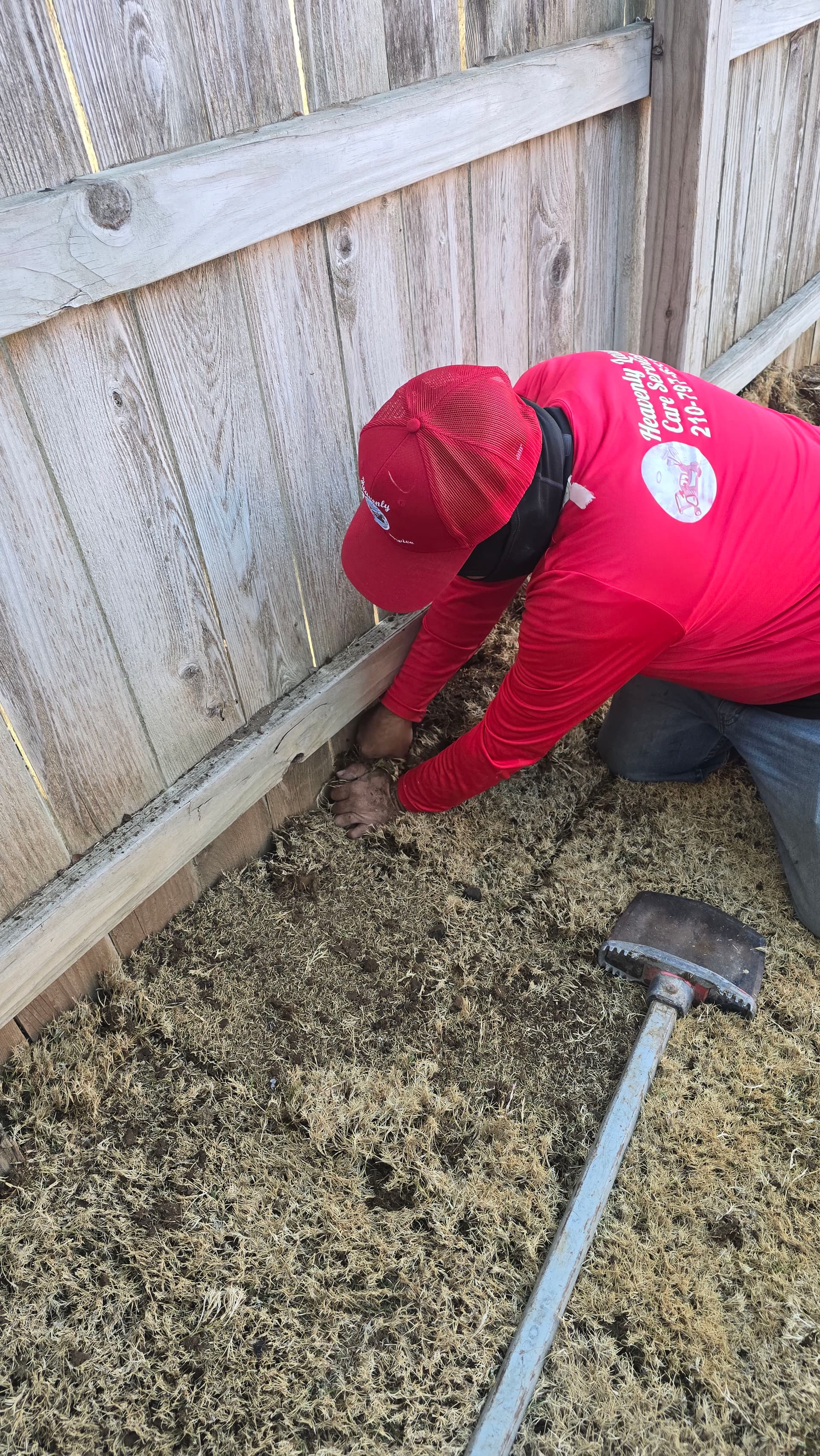 Laying Sod for a Perfect Lawn Paradise