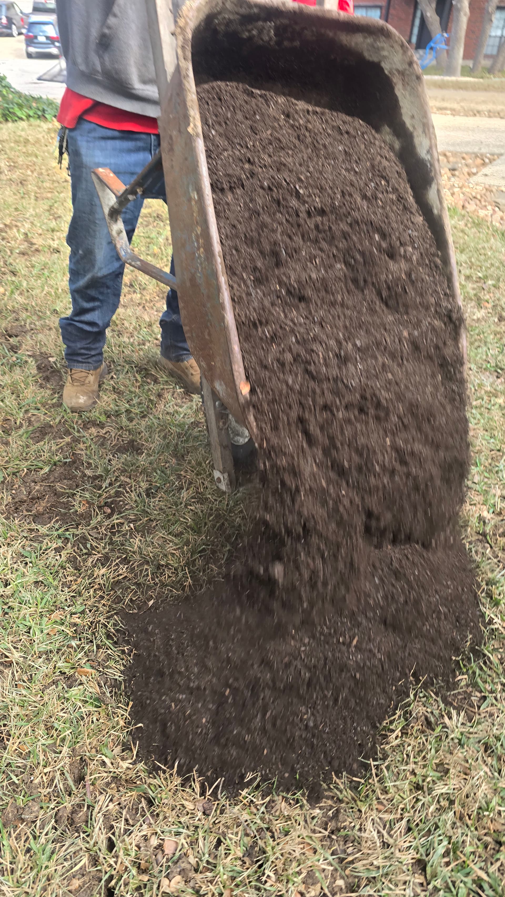 Gallery photos for Elevating Lawns with Organic Care: Image #1