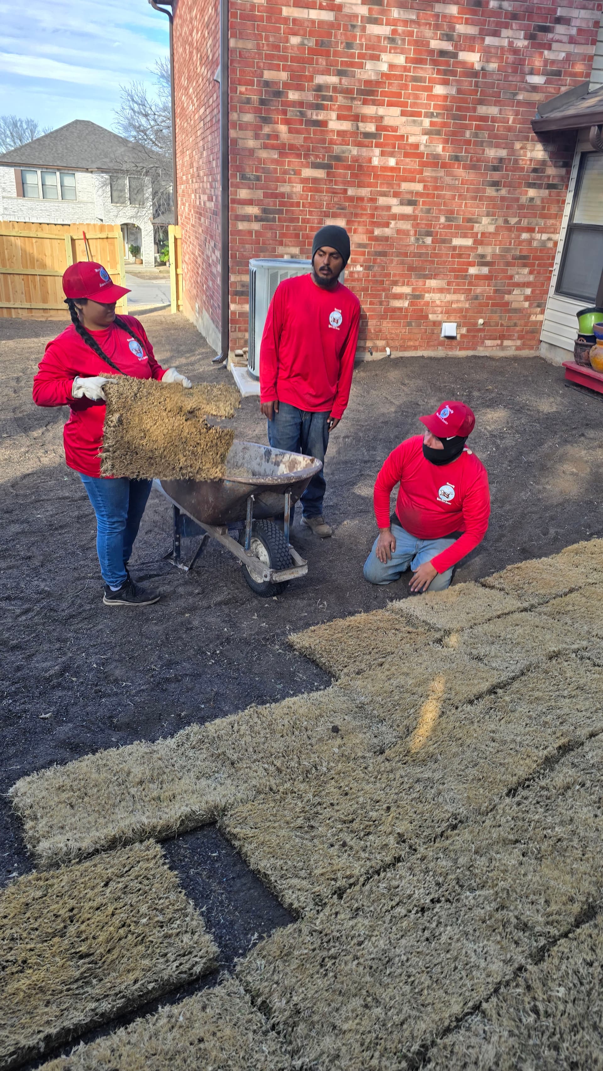 Gallery photos for Lush Sod Installation for a Picture-Perfect Yard: Image #3