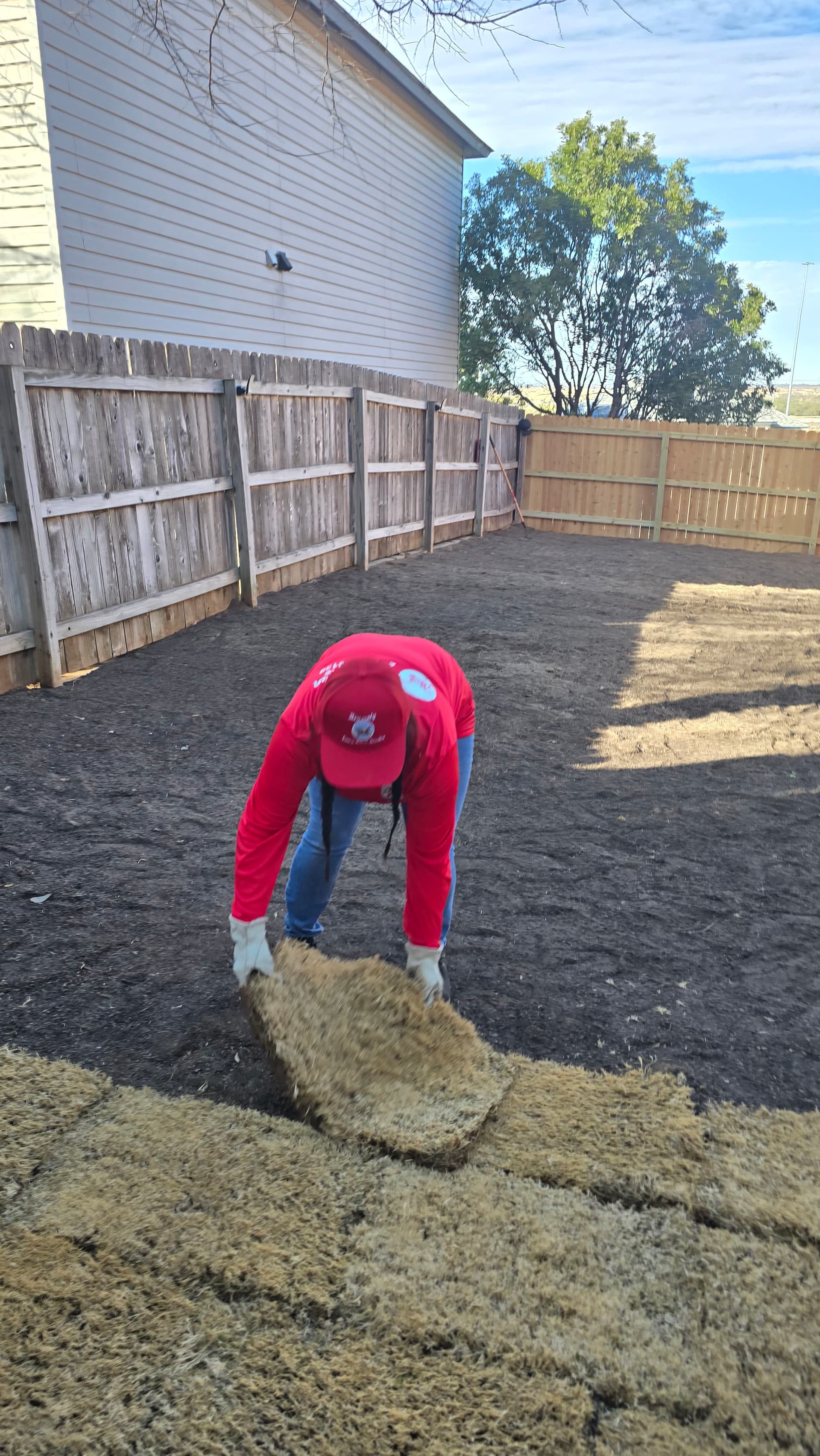 Gallery photos for Laying Sod for a Perfect Lawn Paradise: Image #8