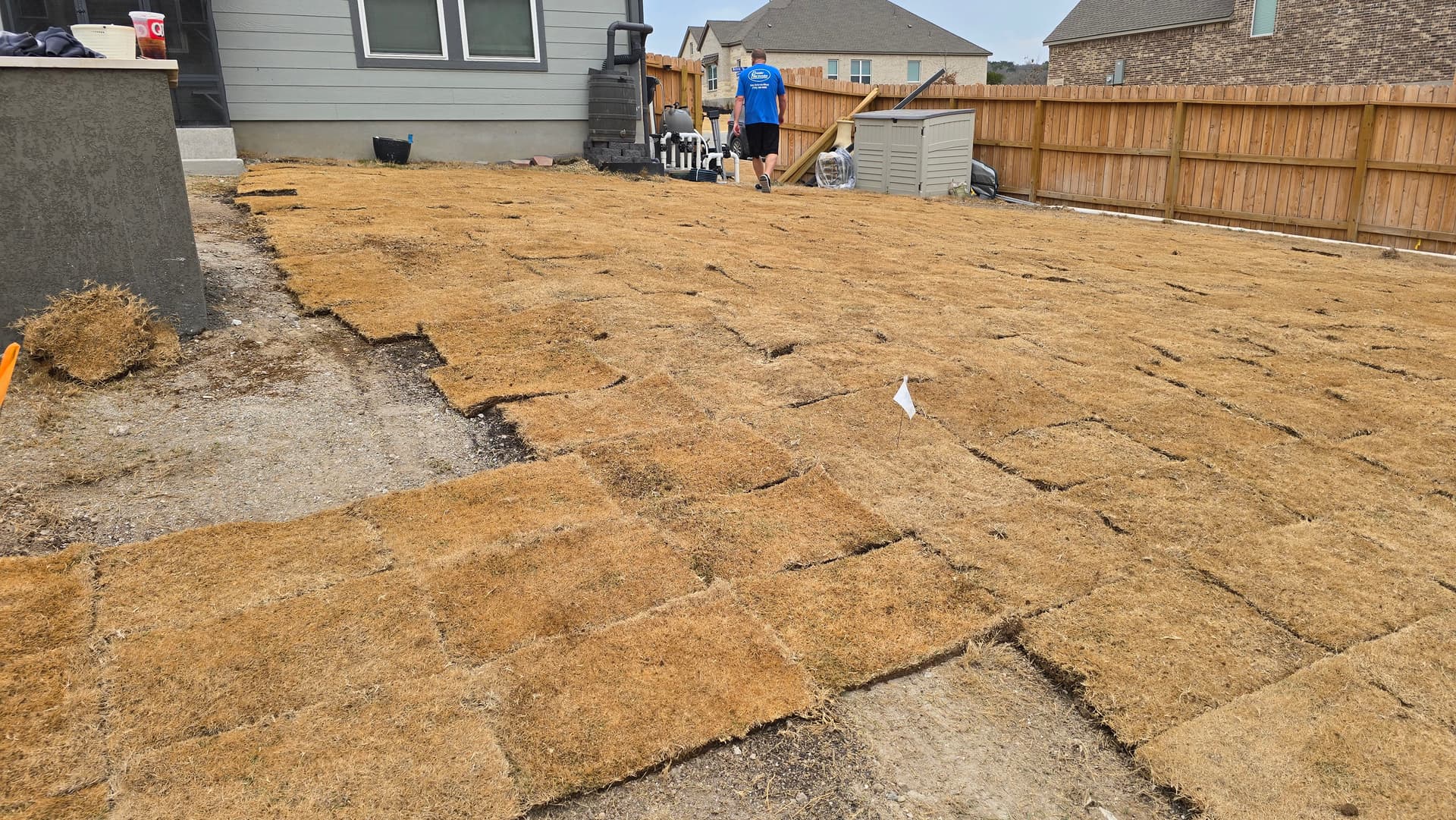 Gallery photos for Backyard Sod Installation Around Pool Area: Image #4