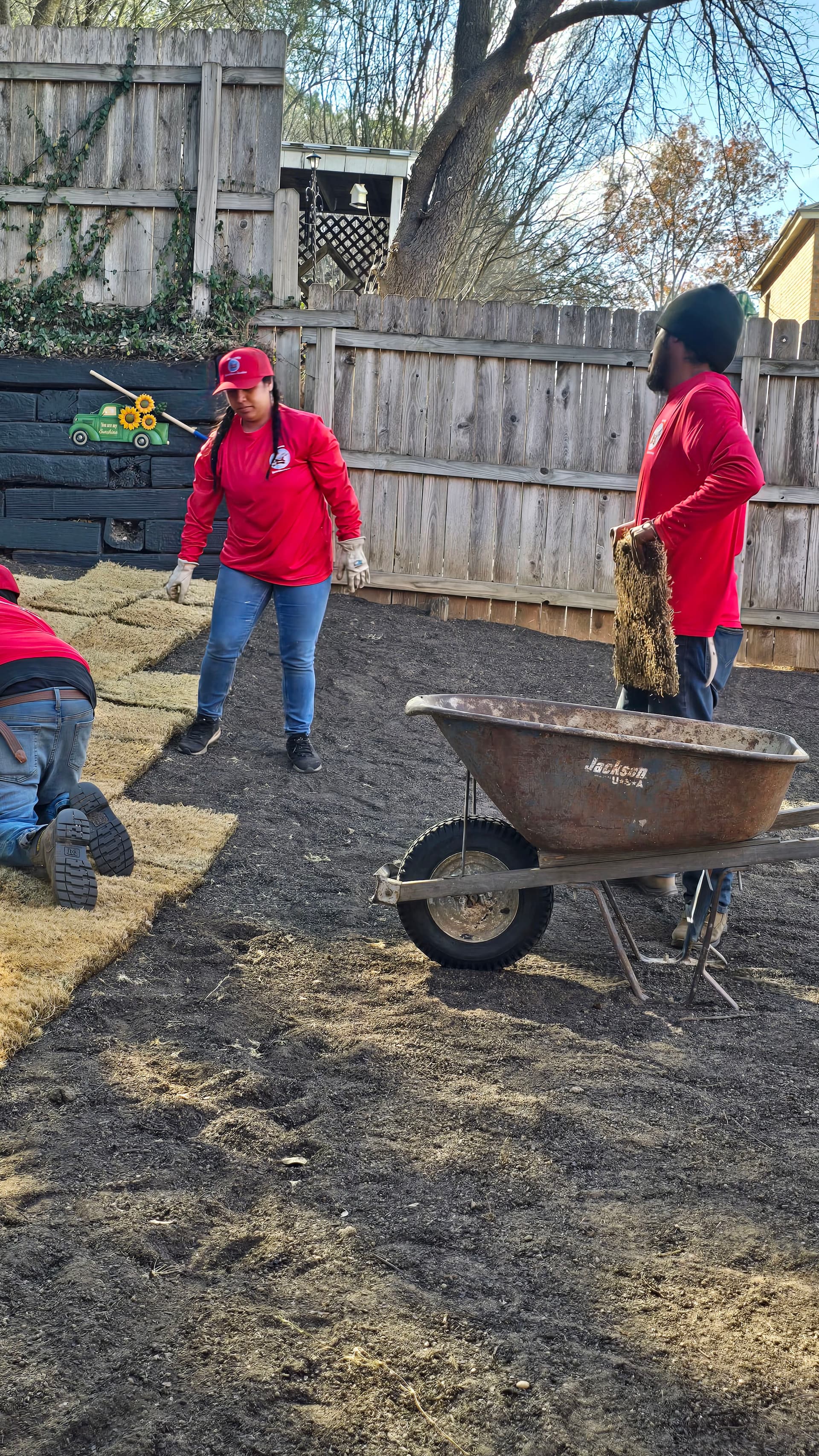 Gallery photos for Laying Sod for a Perfect Lawn Paradise: Image #6