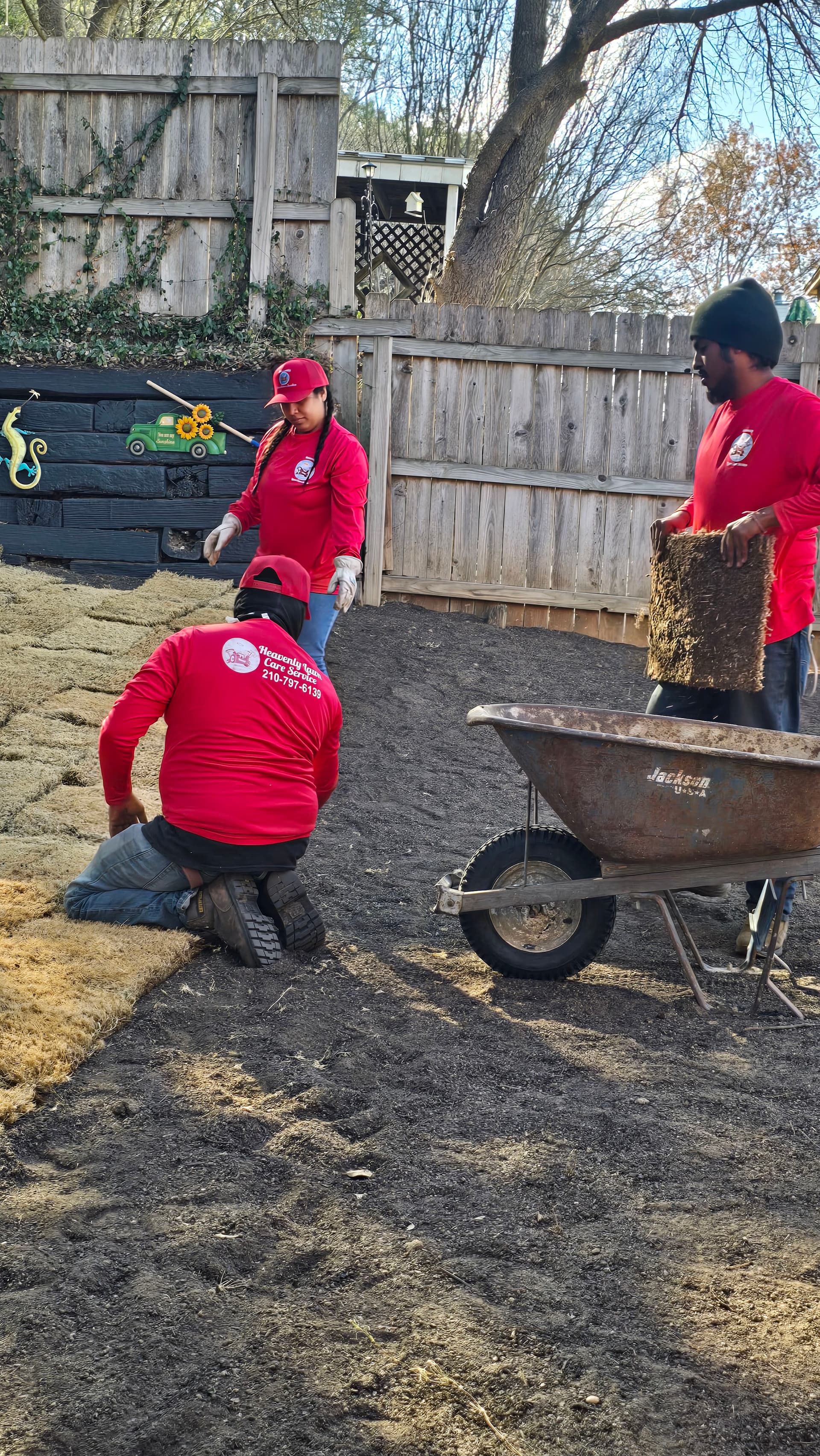 Gallery photos for Laying Sod for a Perfect Lawn Paradise: Image #7