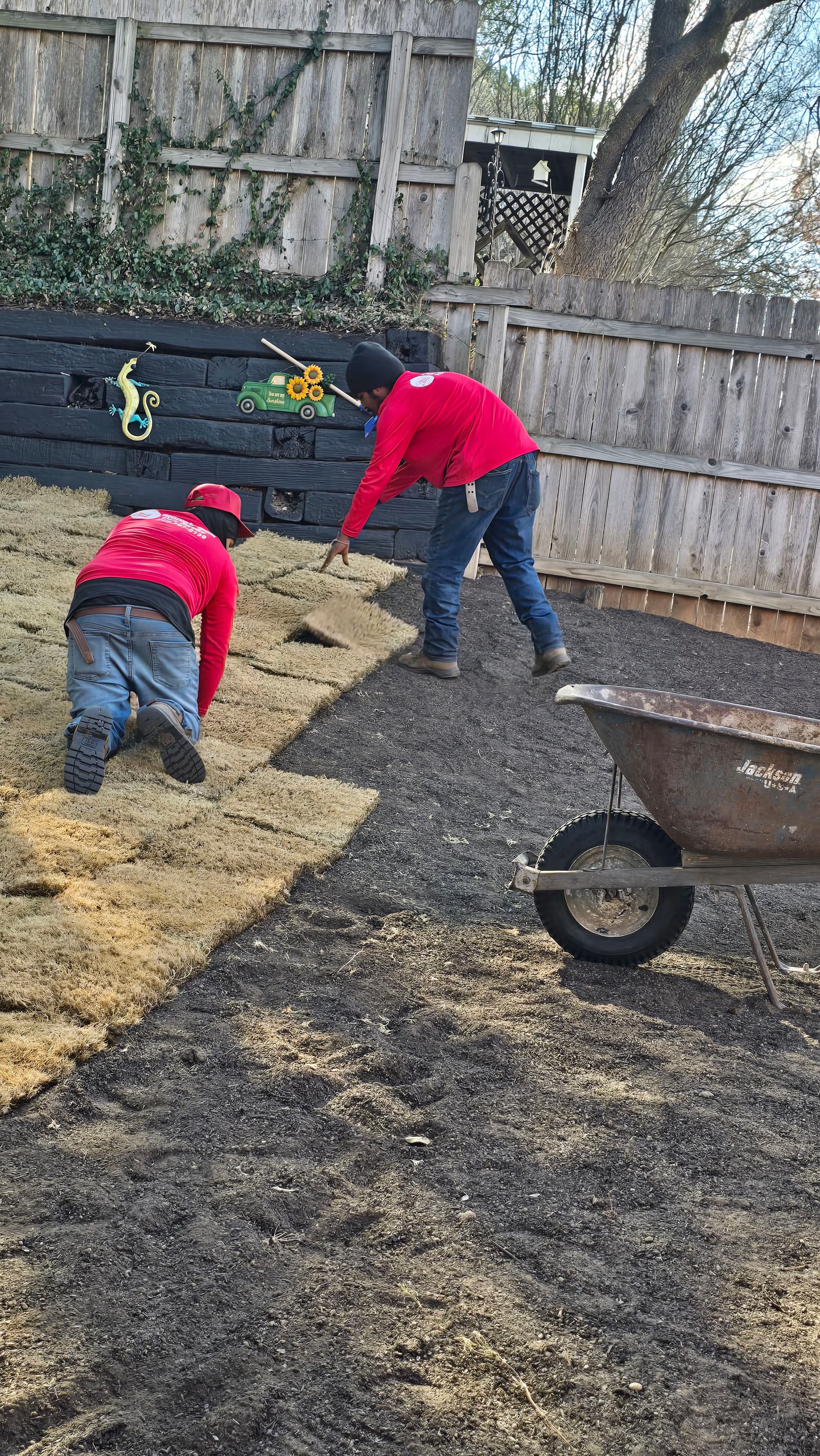Gallery photos for Laying Sod for a Perfect Lawn Paradise: Image #5
