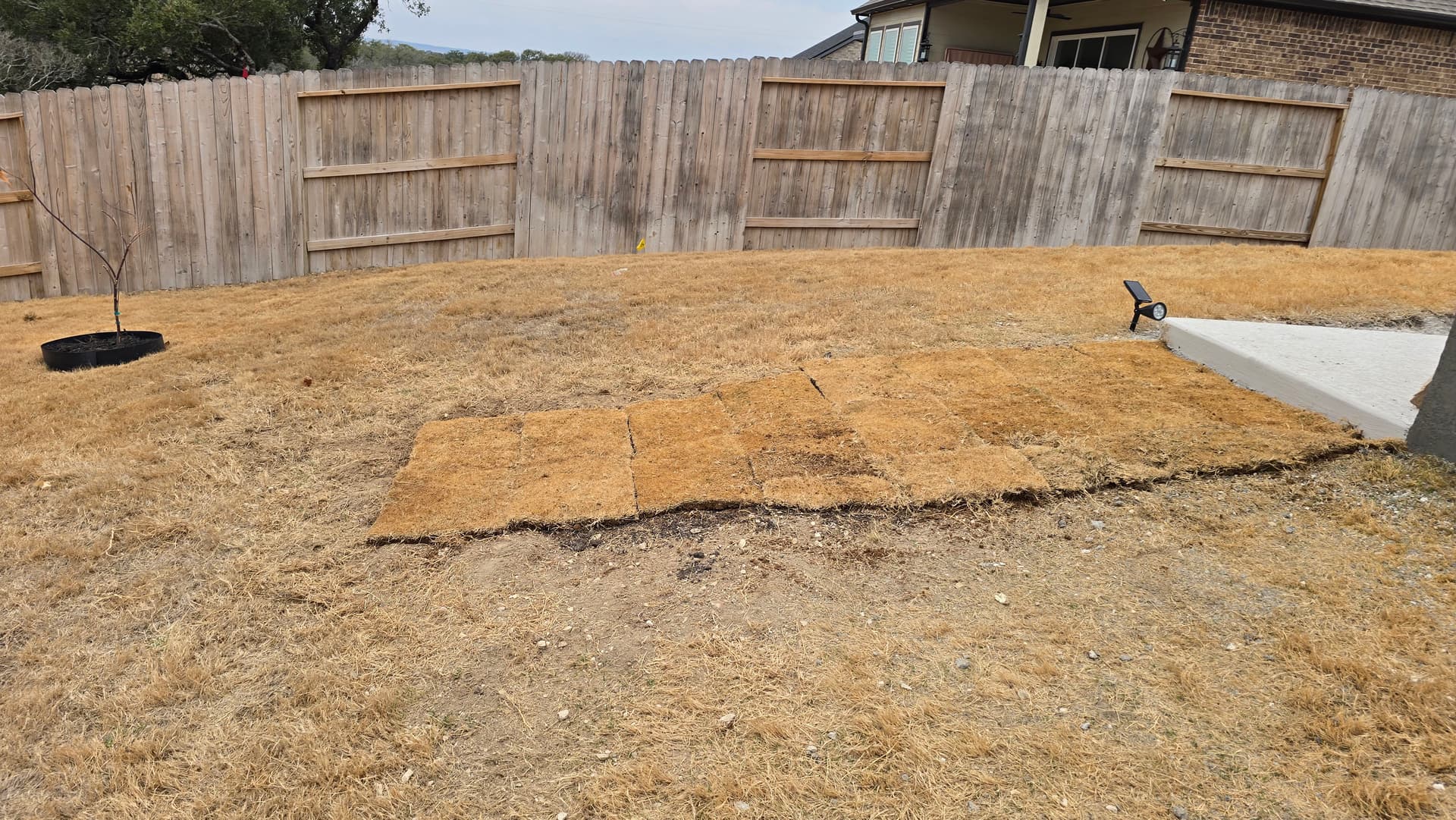 Gallery photos for Backyard Sod Installation Around Pool Area: Image #9