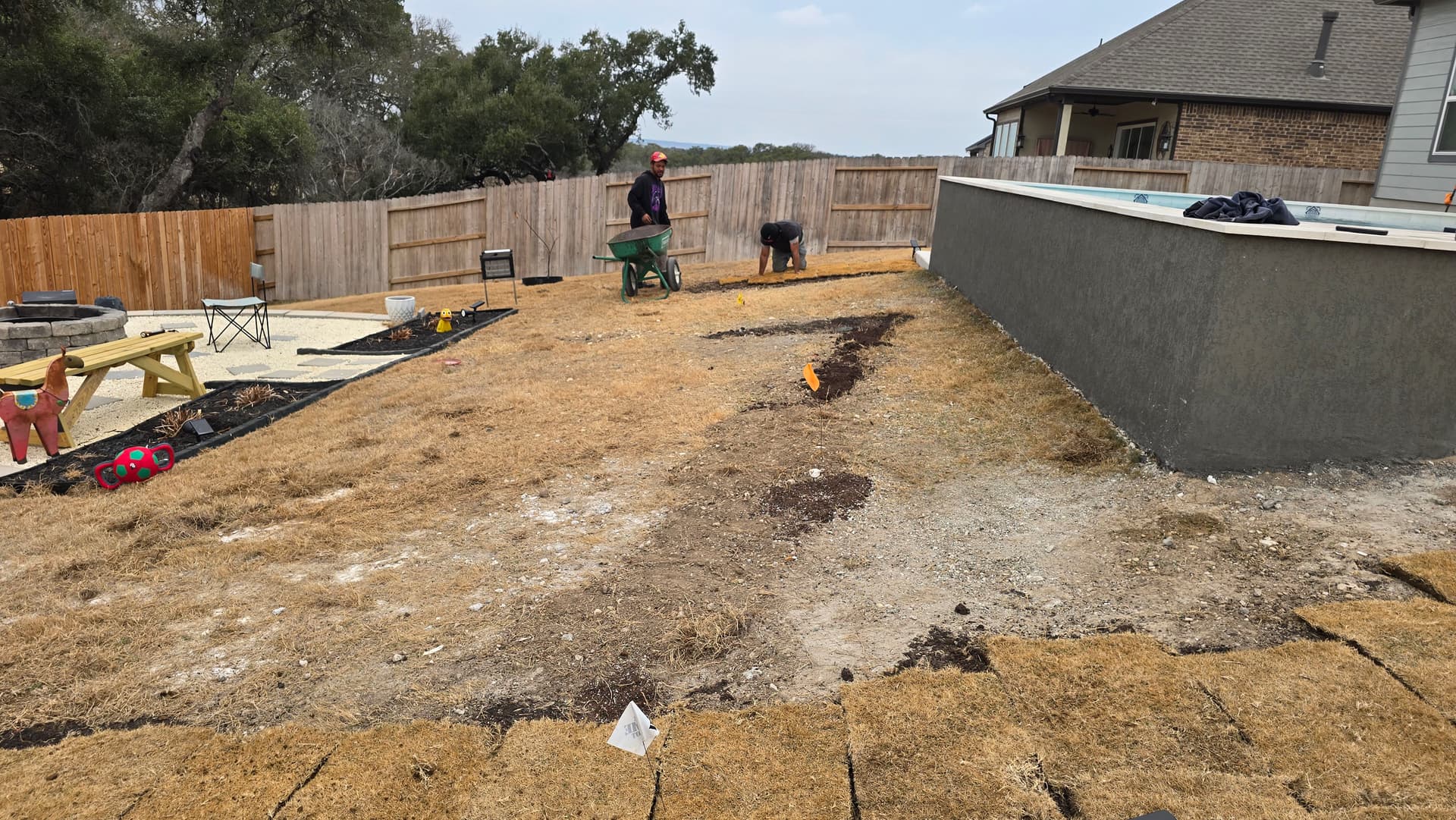 Gallery photos for Backyard Sod Installation Around Pool Area: Image #2