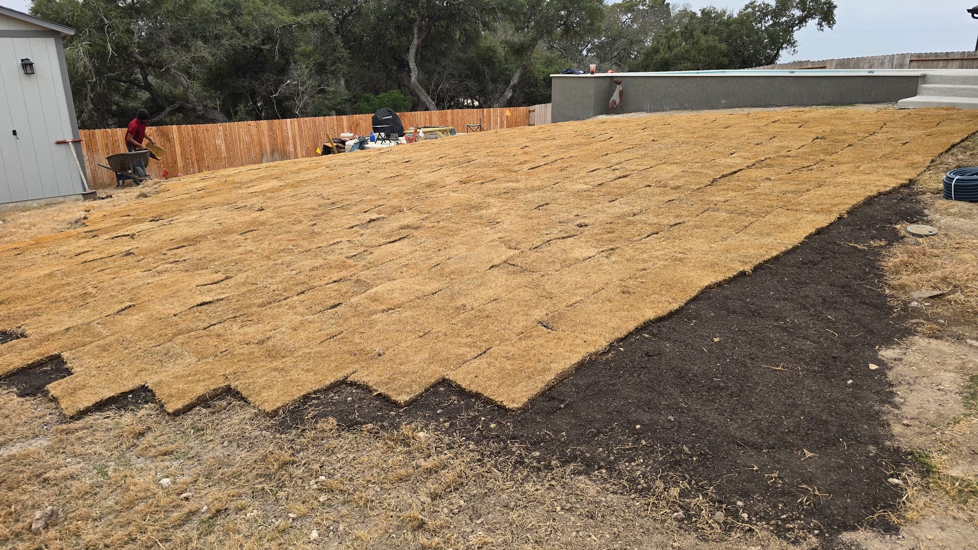 Gallery photos for Backyard Sod Installation Around Pool Area: Image #1