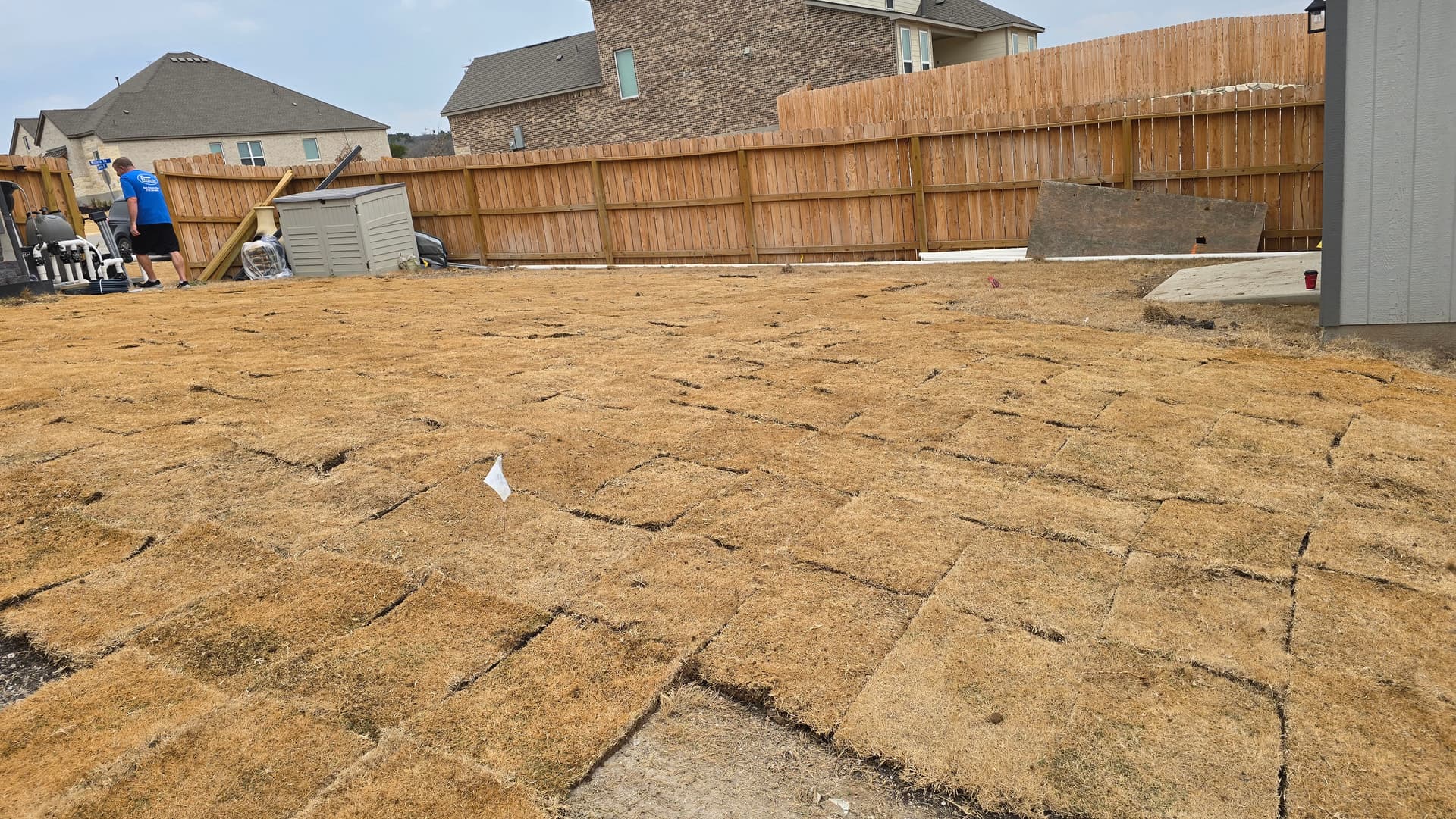 Gallery photos for Backyard Sod Installation Around Pool Area: Image #5