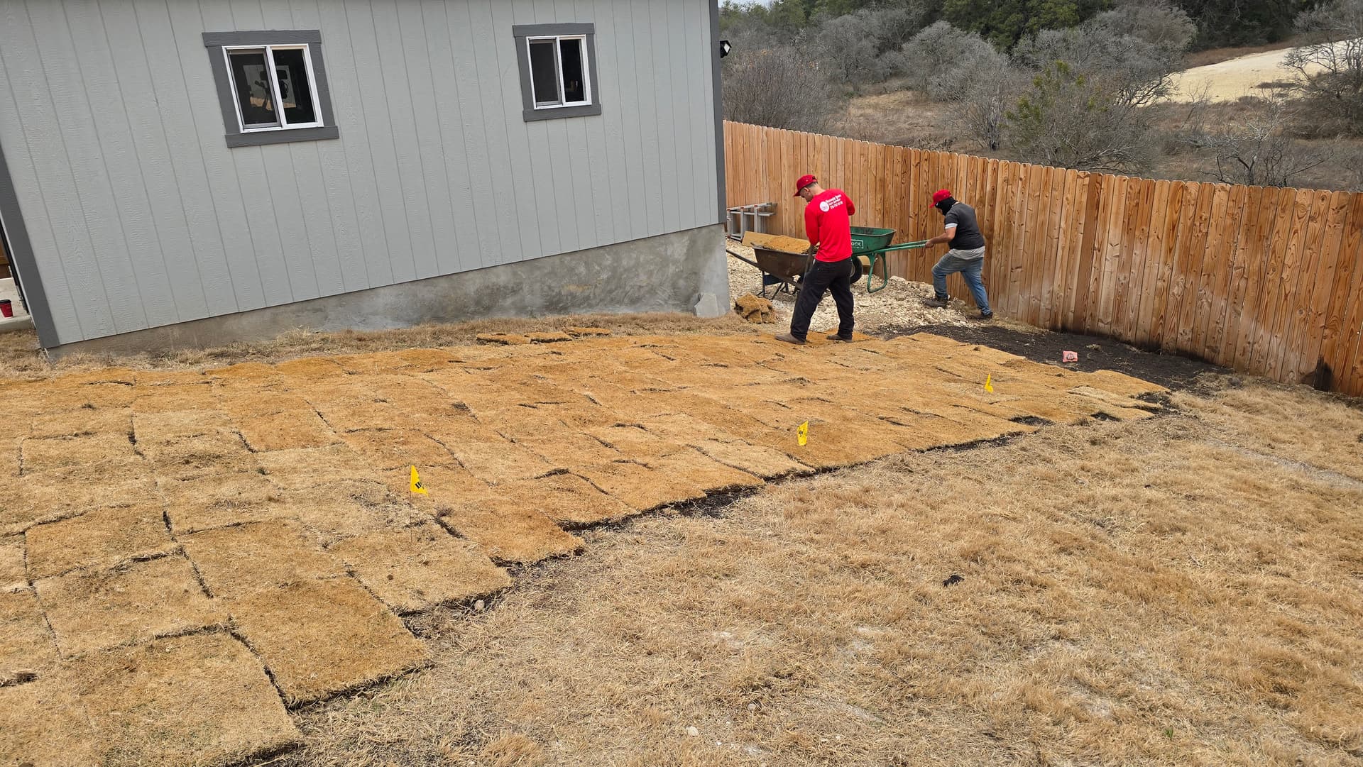 Gallery photos for Backyard Sod Installation Around Pool Area: Image #7